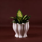 Tulip S