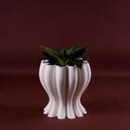 Dalia S
