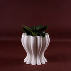 Dalia S