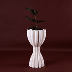 Freesia M