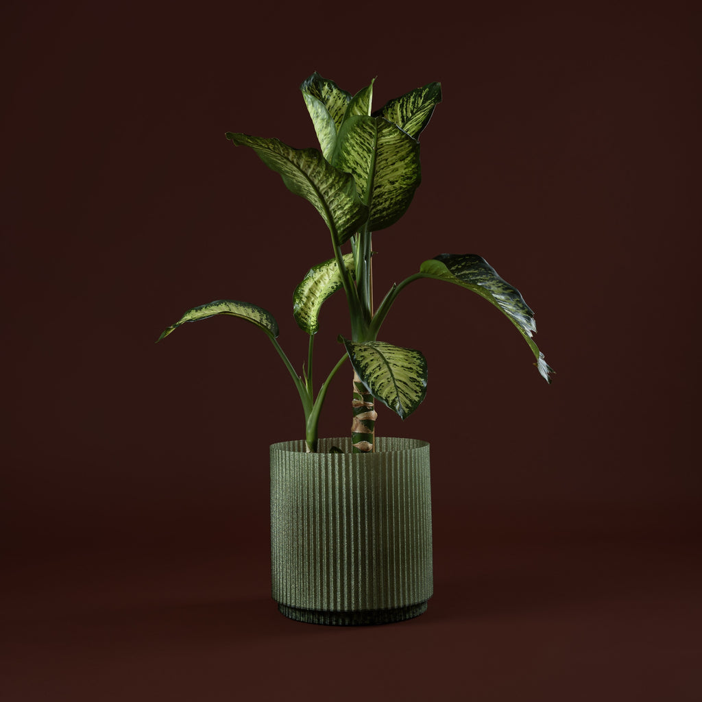 Plissè Portavaso Sage