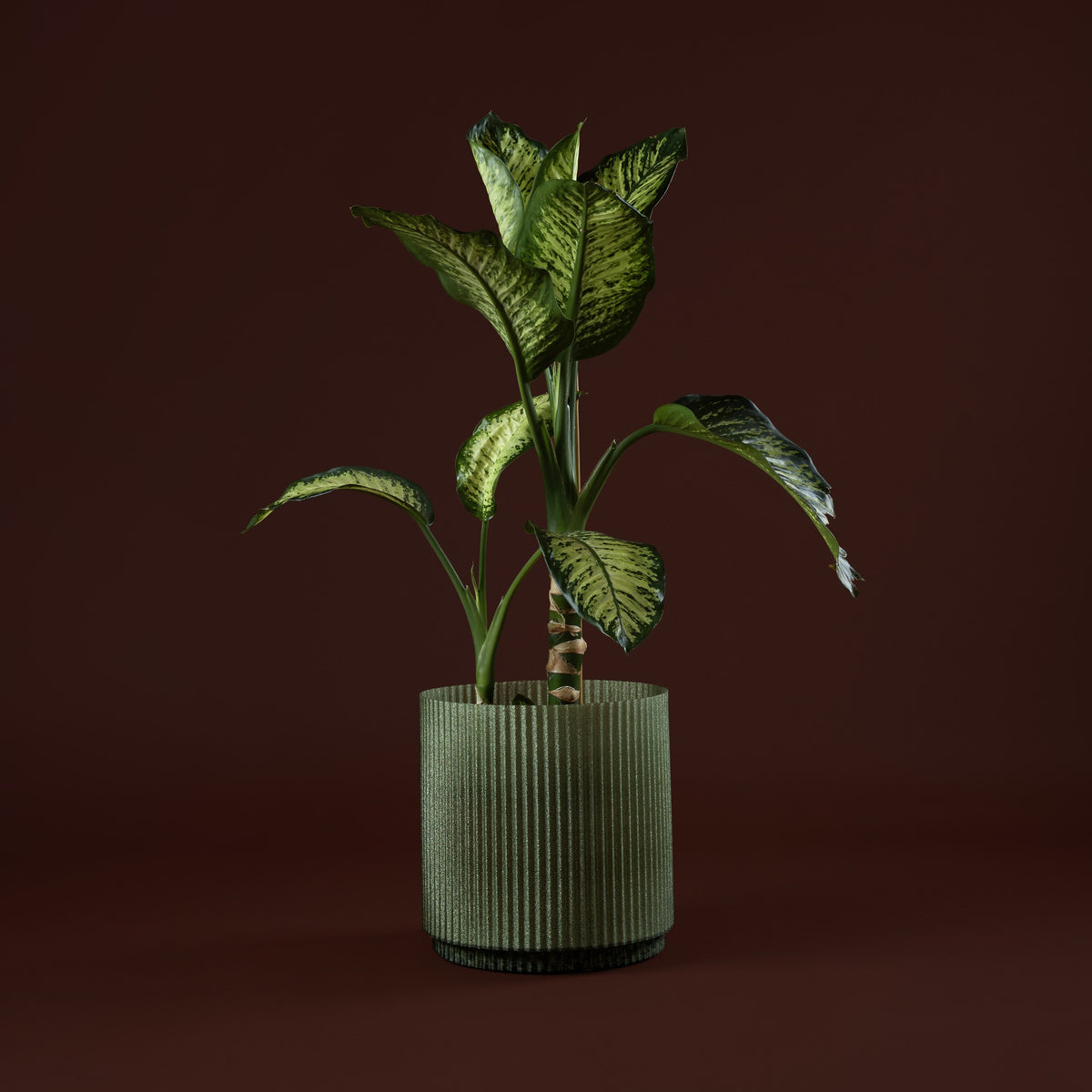 Plissè Portavaso Sage