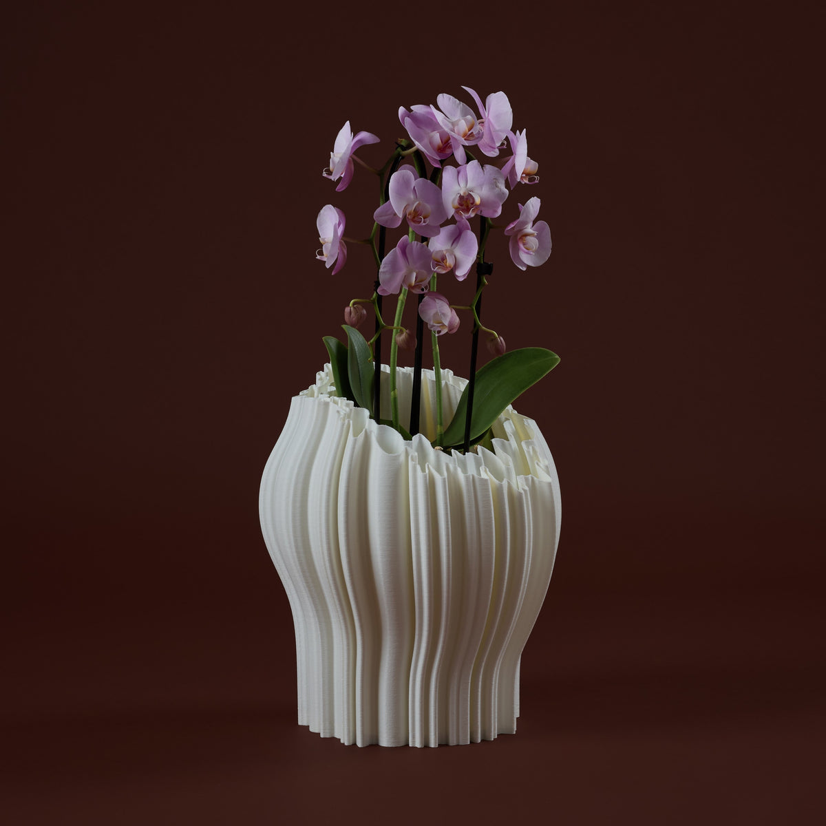 WhiteButterfly Vaso Fleur