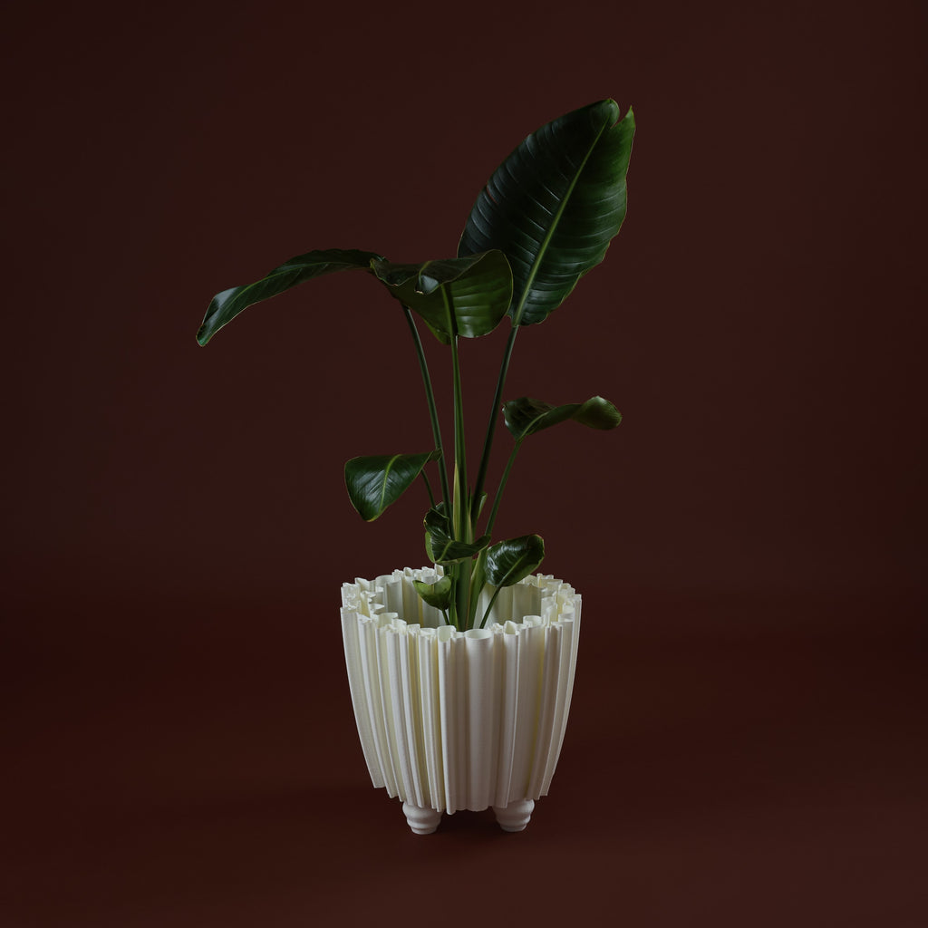 WhiteButterfly Vaso M