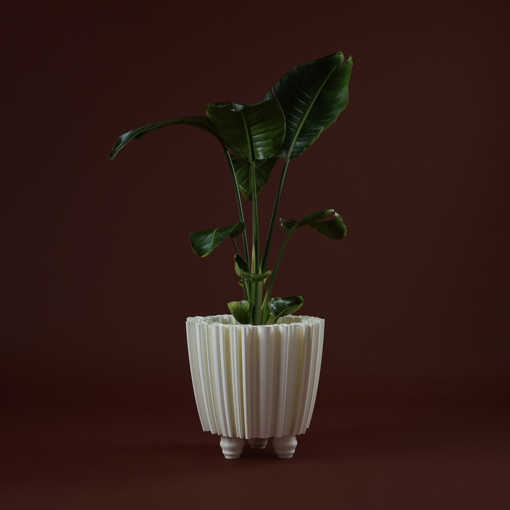 WhiteButterfly Vaso M