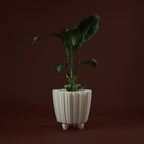 WhiteButterfly Vaso M