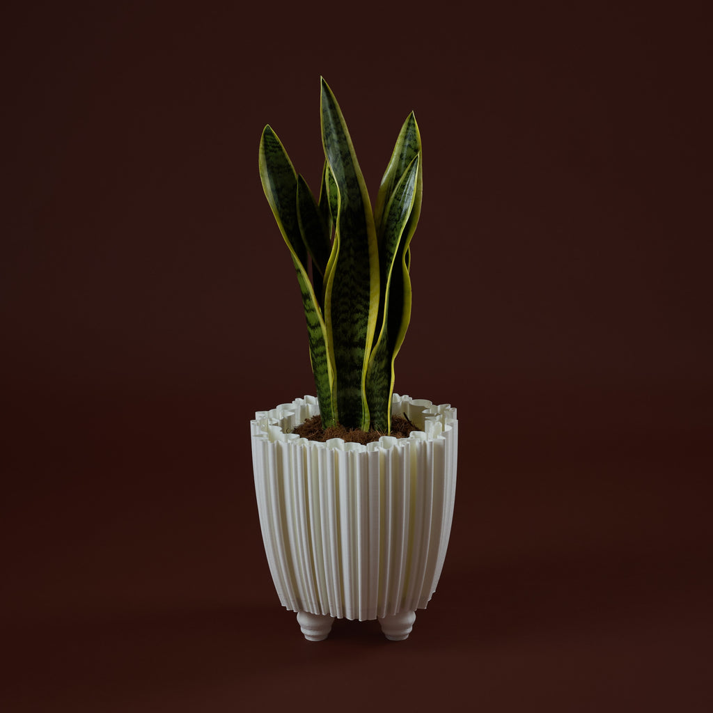 WhiteButterfly Vaso S