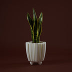 WhiteButterfly Vaso S
