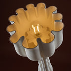 Tulip 3