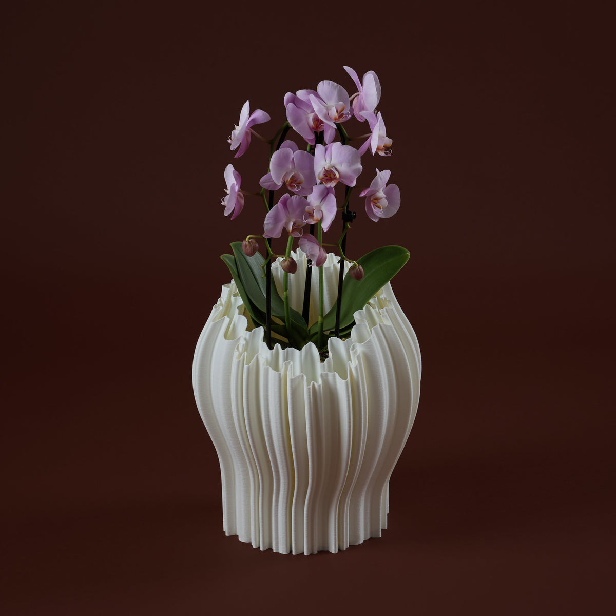 WhiteButterfly Vaso Fleur
