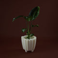 WhiteButterfly Vaso M