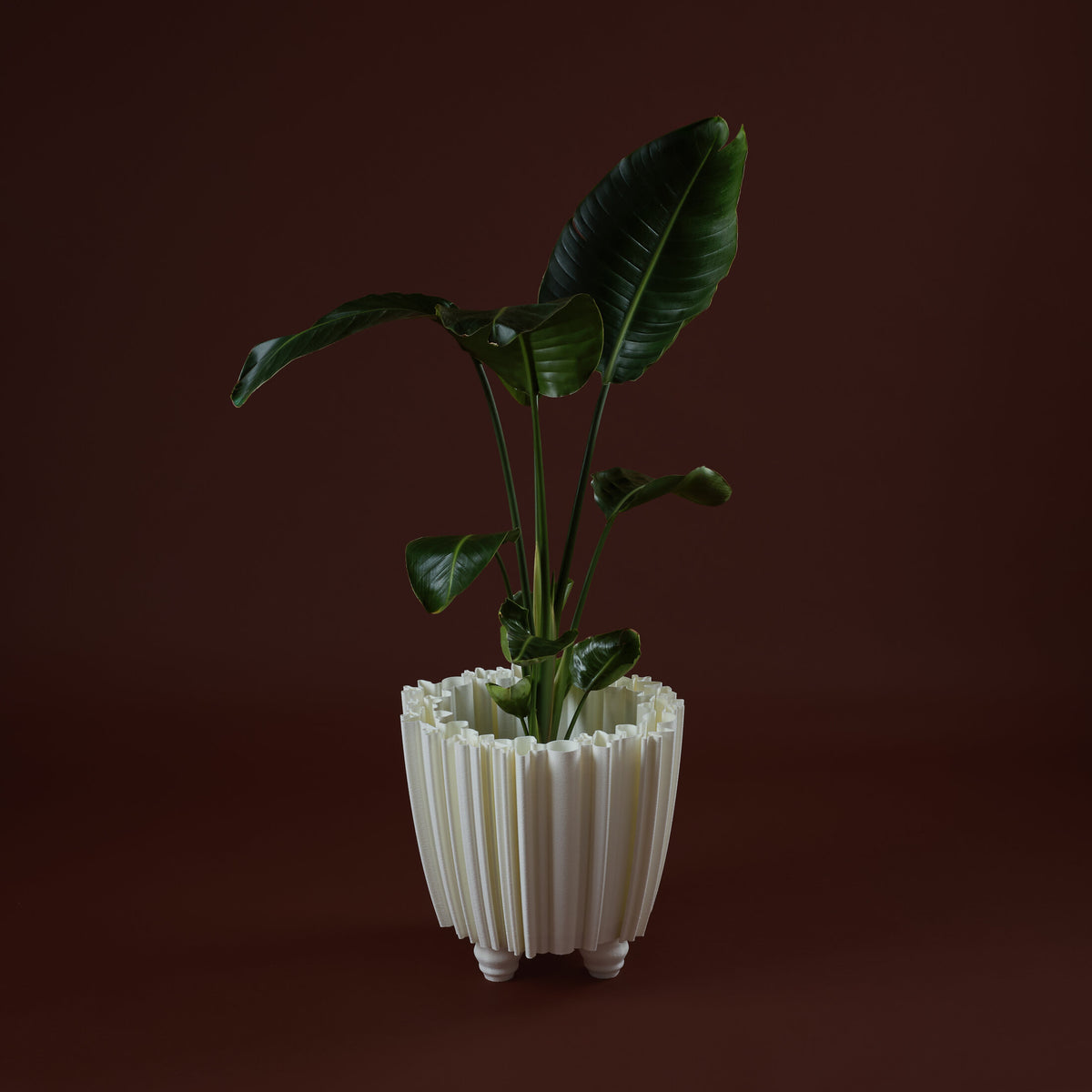 WhiteButterfly Vaso M